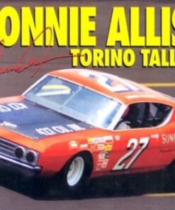 1969 Sunny King Ford Talledega driven by Donnie Allison (1/25) (fs)